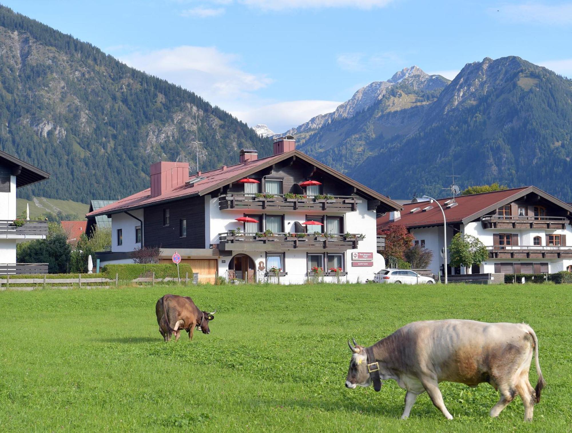 Best Western Plus Hotel Alpenhof Oberstdorf Exterior photo